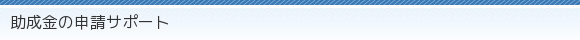 ̐\T|[g